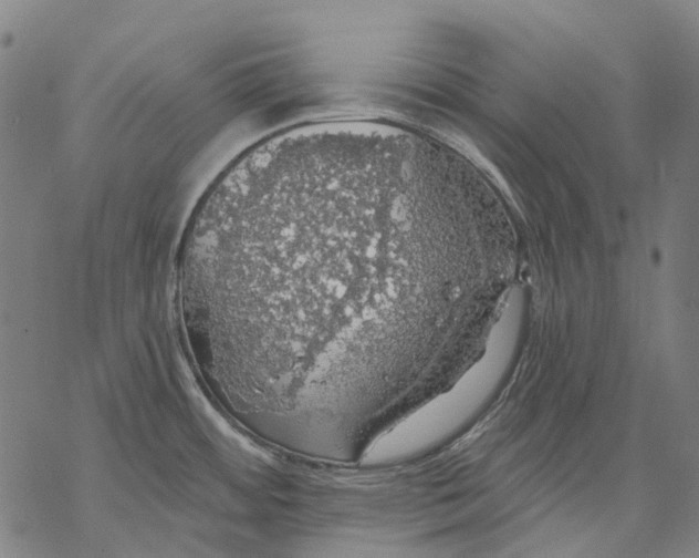 X0000068841484200605261628