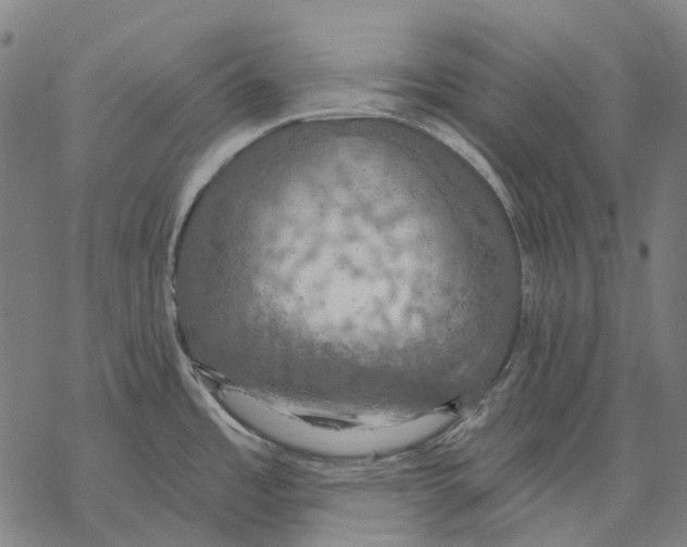 X0000068841485200605261628