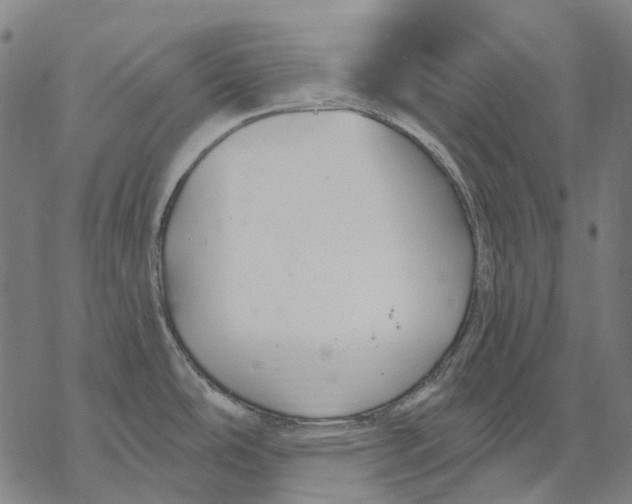 X0000068841486200605261628