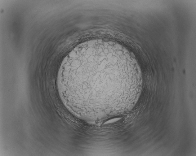 X0000068841489200605261627