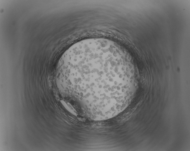 X0000068841490200605261627