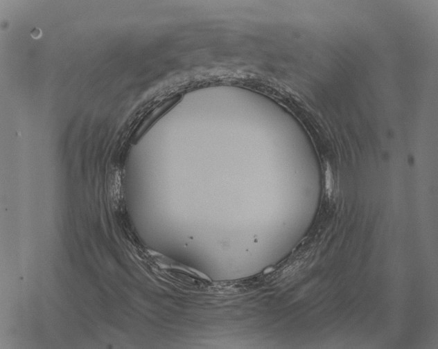 X0000068841492200605261627