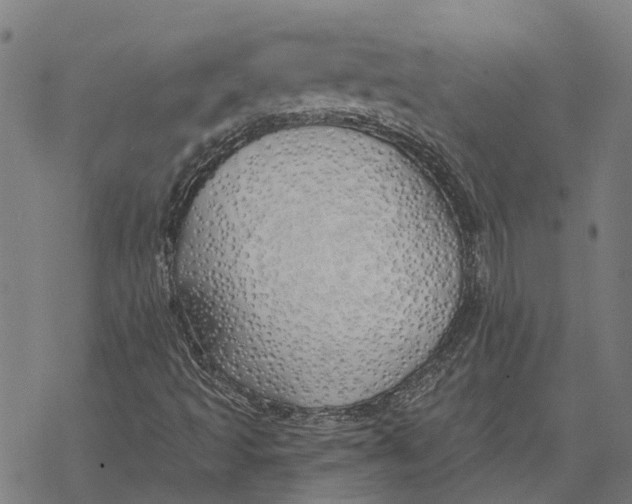 X0000068841493200605261627