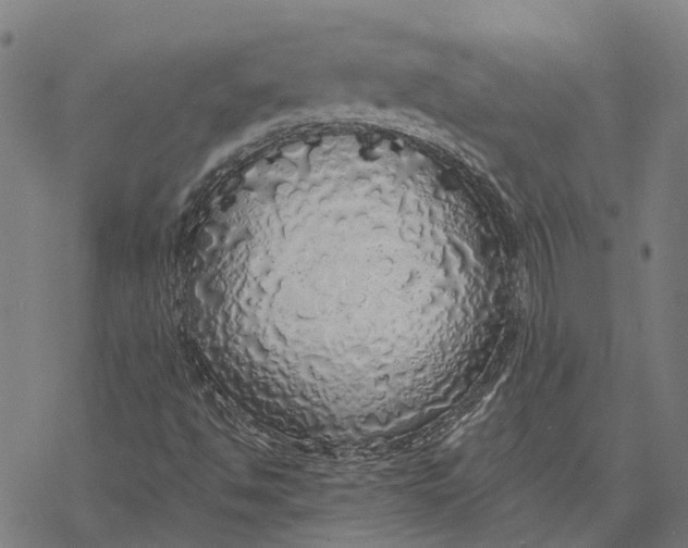 X0000068841494200605261627