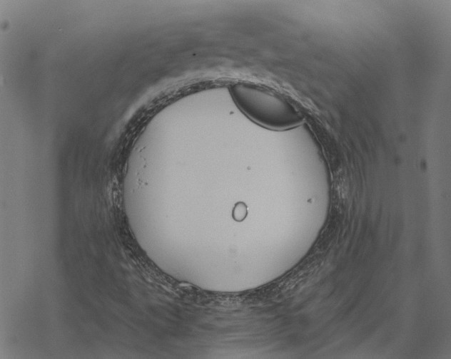 X0000068841495200605261627