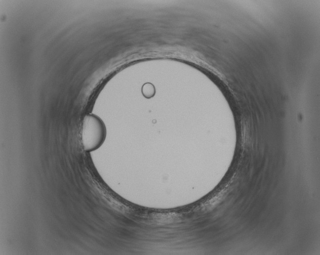 X0000068841498200605261627