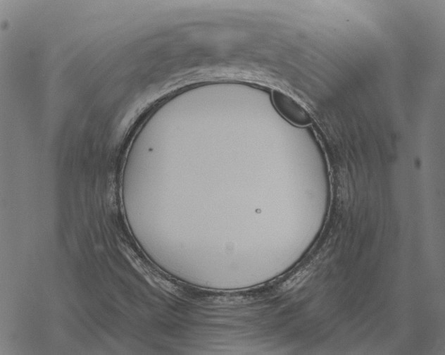 X0000068841499200605261627