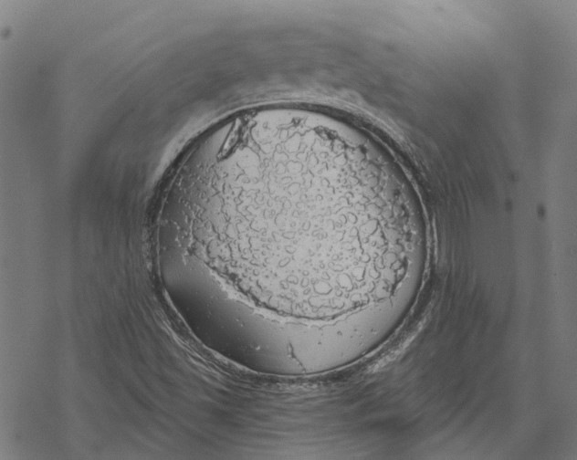 X0000068841501200605261627