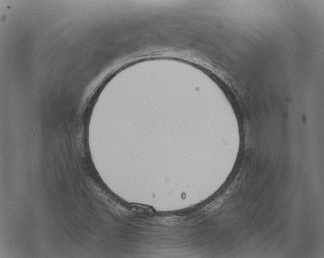 X0000068841502200605261627