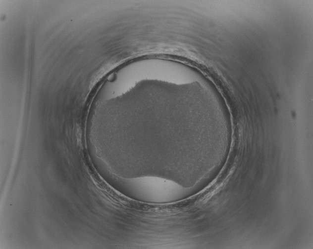 X0000068841505200605261627