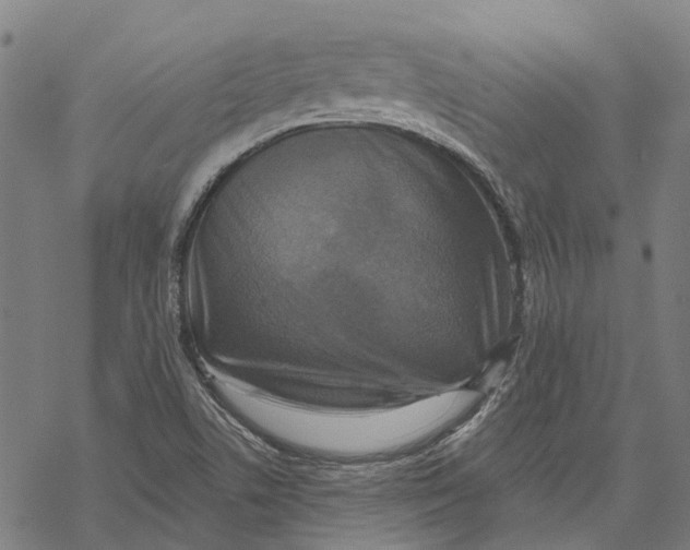 X0000068841506200605261627