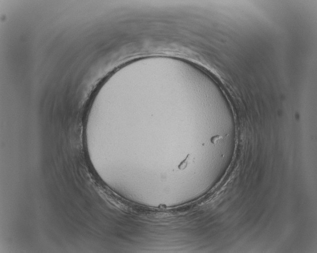 X0000068841507200605261627