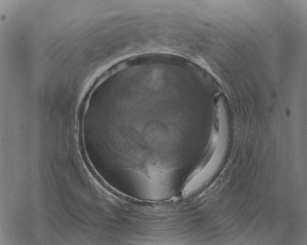 X0000068841508200605261627