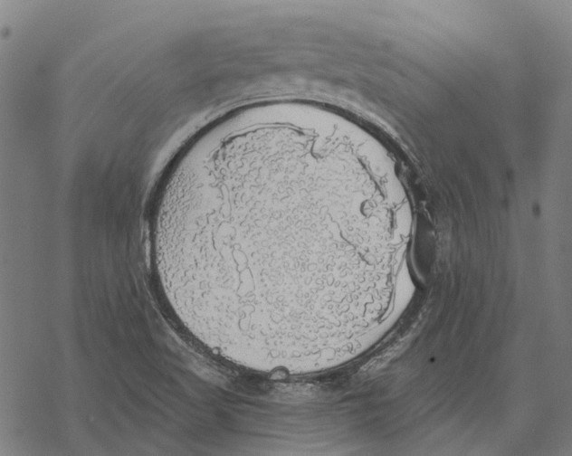 X0000068841509200605261627