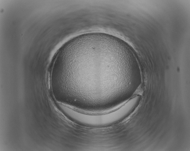 X0000068841510200605261627