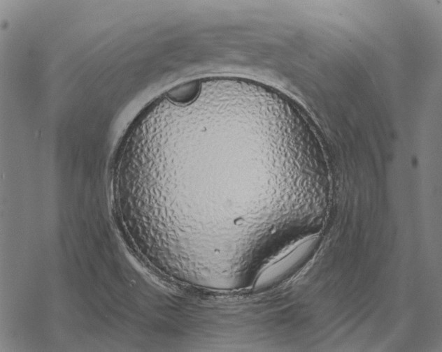 X0000068841511200605261627