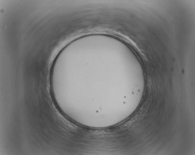 X0000068841512200605261627