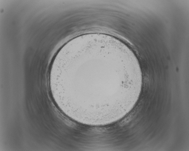 X0000068841514200605261627