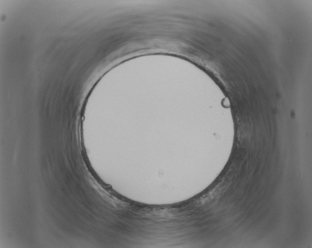 X0000068841516200605261628