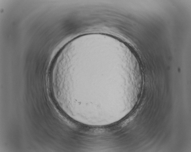 X0000068841517200605261628