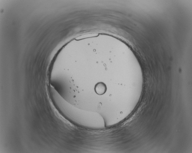 X0000068841518200605261628