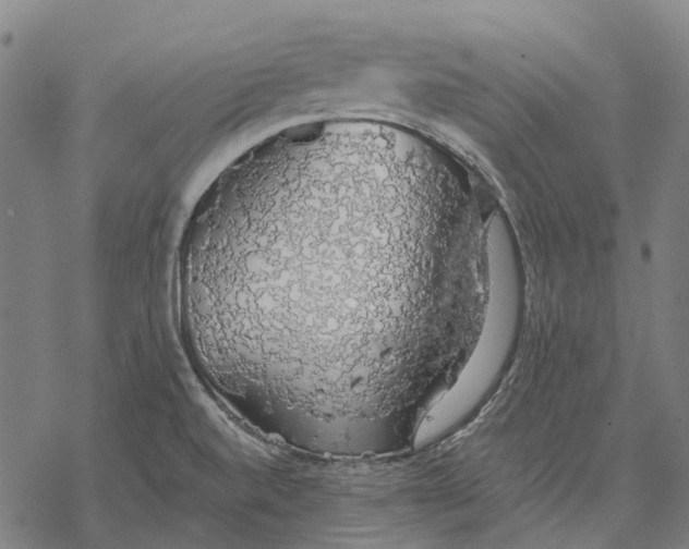 X0000068841520200605261628