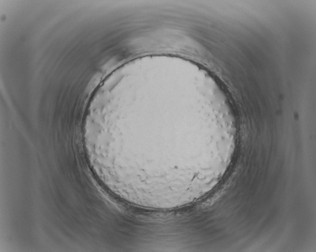 X0000068841521200605261628