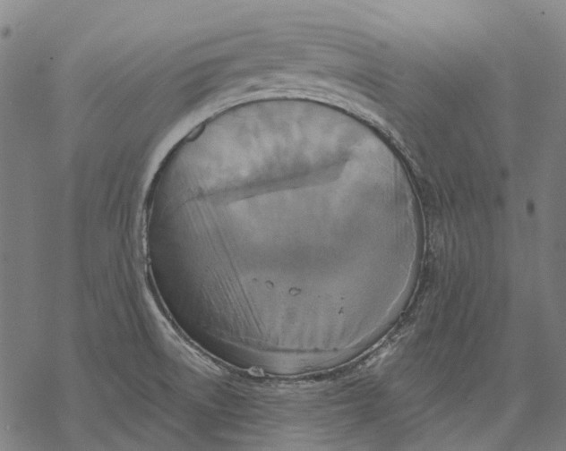 X0000068841522200605261628