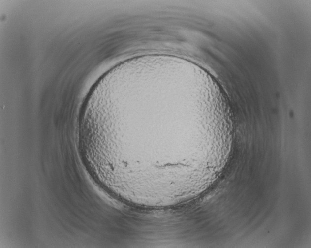 X0000068841523200605261628