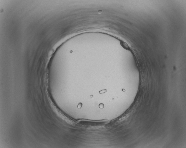 X0000068841526200605261628