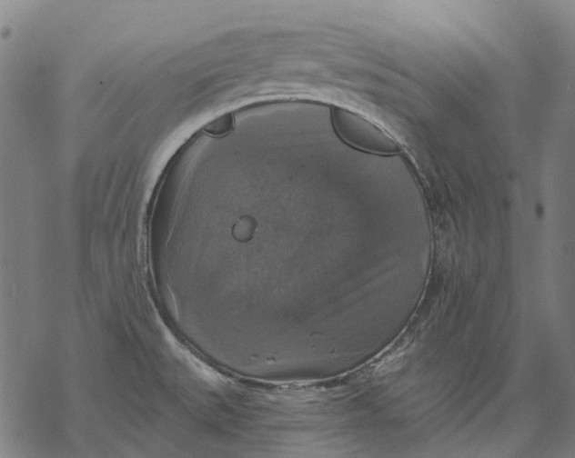 X0000068841527200605261628