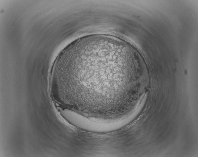 X0000068841528200605261628