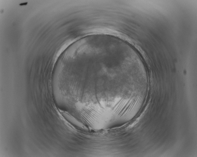 X0000068841529200605261628