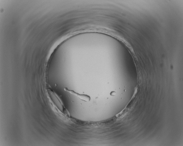 X0000068841530200605261628