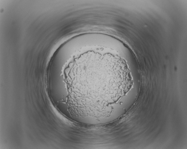 X0000068841531200605261628