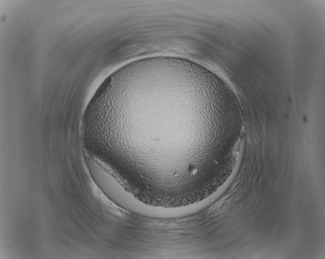 X0000068841532200605261628