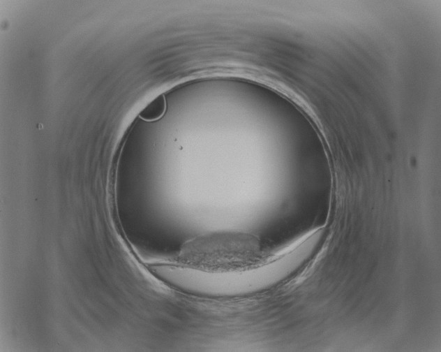 X0000068841533200605261628