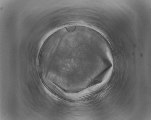 X0000068841535200605261628