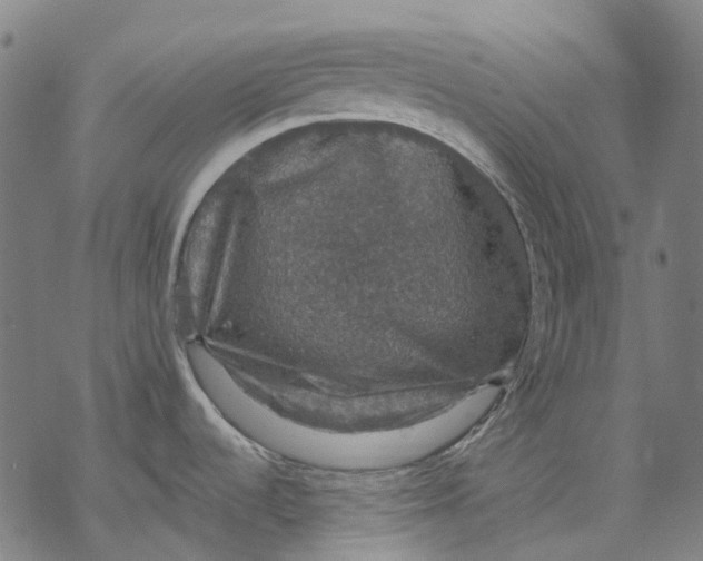 X0000068841536200605261628