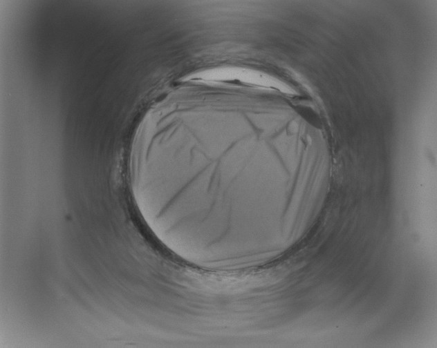 X0000068840018200606021720