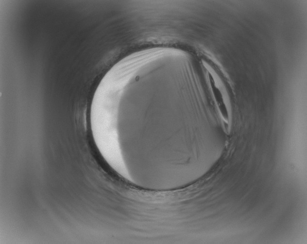 X0000068840019200606021720