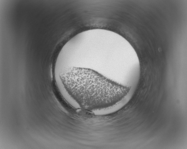 X0000068840020200606021720