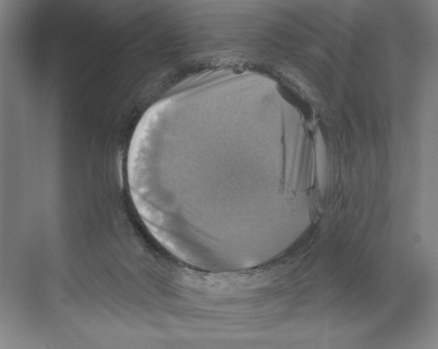 X0000068840022200606021720