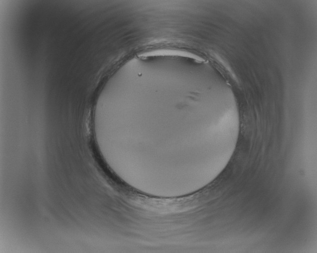 X0000068840023200606021720