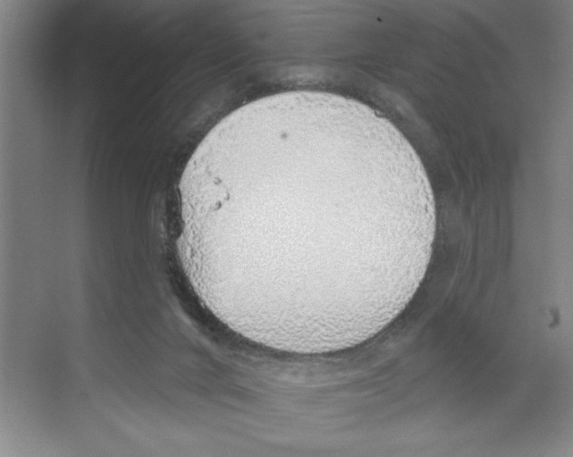 X0000068840024200606021720