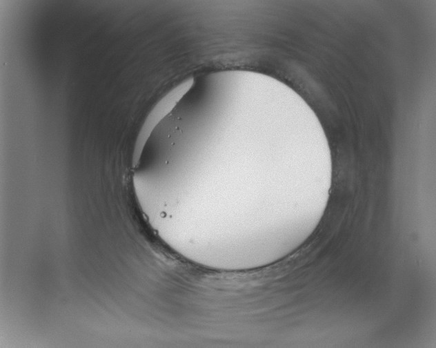 X0000068840025200606021720