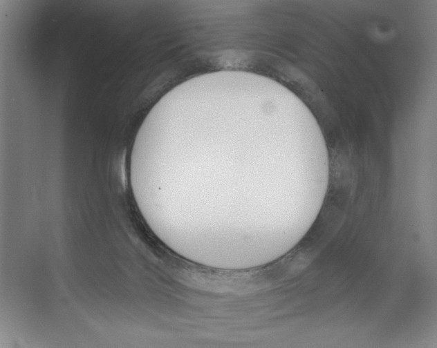 X0000068840028200606021720