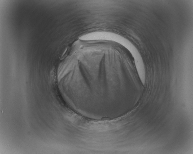 X0000068840029200606021720