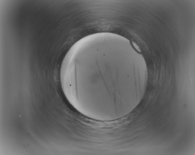 X0000068840035200606021720