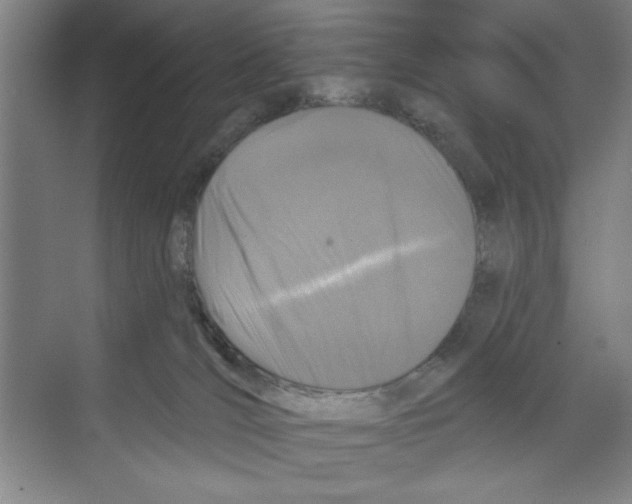 X0000068840036200606021720